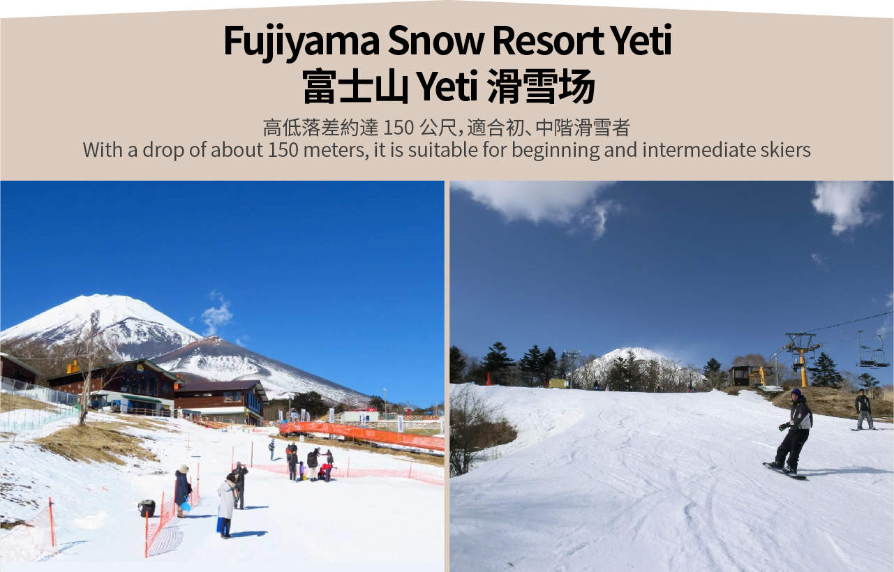 Tokyo City Tour & Mt. Fuji Ski and Hot Spring Experience] Tokyo Sumo &  Rickshaw Tour & Tokyo Odaiba & Tokyo Tower & Mt. Fuji YETI Ski and Hot  Spring 2-Day Tour (